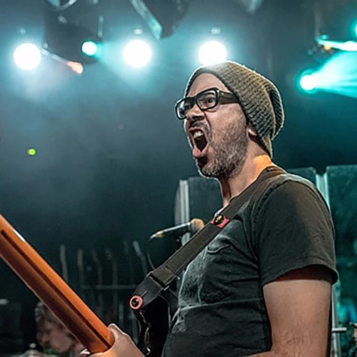 DHANI HARRISON / BIG BLACK DELTA